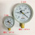 Y-100红旗仪表压力真空表Z-100Z-60-0.1-0MPA压力表负压 表盘直径150mm -0.1-+0.PA