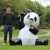 黛博拉玻璃钢几何熊猫雕塑抽象块面动物小品园林装饰品户外景观草坪摆件 趴姿转头