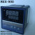 RKC智能温控仪REX-C400FK02-M*AN温控器 REX-C100 C700温度控制 REX REX-C700 SSR固态输出
