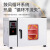电热鼓风干燥箱实验室小型烘干机高温烘箱药材恒温工业用烤箱 DZF-6020 标配款