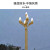 溥畔中华灯玉兰灯8米10米12米户外景观灯组合花灯led道路广场灯高杆灯 6米玉兰灯(9火)