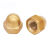 天坚五金 黄铜盖形螺母盖型螺帽铜螺丝帽盖母装饰帽M3-M20 M3 (20个)