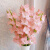 万悦卉（48小时现货）剑兰鲜花节节高步步高送人家庭插花办公室室内水养 粉色剑兰5支
