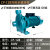 CP128 158清水泵离心泵冷水机专用高温冷热水循环增压泵 CP168 1500W 220v单相