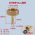 定制铜宝塔头煤气软管天然气燃气接头4/6分内外丝格林头转接口配件 6分 内丝*8mm