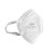 汉盾（HANDUN）HD9521 KN95耳带式防尘防颗粒物防雾霾口罩 独立装 50只/盒