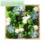 JDNXX50*50正方形仿真多肉植物相框壁挂绿植实木墙壁背景墙挂饰装饰花 F款50*50cm