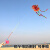 盟石鱼竿风筝塑料风筝儿童手持卡通迷你小风筝微风易飞地推活动小礼品 20个风筝(图案自选)+20个鱼杆