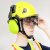 立始安全帽 多功能工地护目防砸安全帽 隔音降噪耳罩 新国标 建筑工程 荧光黄帽+透明镜+G07E耳罩