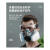 HKFZ防毒防尘工业粉尘面具全面罩喷漆呼吸防护罩防烟全脸 升级款硅胶防尘毒7件套60片