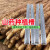 轩之准 种植山药神器模具槽专用的淮山铁棍棒立体浅生长引导1.2加 1米PVC超厚50丝100条耐用5年