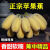 【苹果蕉】广西苹果蕉粉蕉应季水果香蕉超甜薄皮现摘新鲜香甜粉糥 苹果蕉 3斤