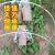 种菜棚架新型农用小拱棚支架遮阳防虫网拱杆菜地骨架暖棚育苗 9.6毫米4.0米长20根(送手套)