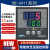 NE-6411V-2DN上海亚泰仪表温控器NE-6000现货NE-6411-2D温控仪 NE-6411V-(N)