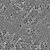 遄运单分散聚甲基丙烯酸甲酯微球 PMMA微球 微塑料（0.05—200微米） 4.5微米 2克
