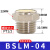 电磁阀气动消音器BSL02铜质消声滤芯过滤器气动接头 BSLM-04 平头消音器