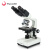 XSP-36-1600X 双目专业光学 生物显微镜学生实验检测养殖 XSP362500倍（双目）