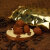 食芳溢德菲丝松露巧克力 法1国乔慕Truffles原味黑巧松露巧克力送礼简装 500g 盒装 不含代可可-70%咖啡味