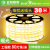 上海亚明220v高压灯带led灯条超亮外墙商用室外户外防水线灯带 亚明80灯珠灯带(送插头6