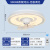 V-POWER变频客厅带灯吊扇一体儿童房间餐厅卧室吸顶风扇灯电扇灯广东中山 【360°摇头】B款银河96W无极光