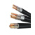 国标YJV铜芯电缆2/3/4/5芯10/16/25/35平方四线地埋铠装电缆 国标铜线YJV425（10米）