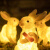 花乐集定制太阳能兔子灯户外防水动物灯发光仿真园林亮化灯具装饰庭 A款兔子灯(接电款)