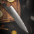 冠（Grand Sharp Art of knife）菜刀67层大马士革钢日式厨房刀具套装水 小切付刀