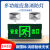 路崎椭圆塑料平镜双头灯消防应急新国标led应急照明安全出口疏散停电 磨砂款安全出口-单面