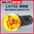 德力西LAY5S-FM蜂鸣器报警灯断续闪烁式钻孔直径 φ22mm 220v 24v LAY5sFM断续闪烁式ACDC24V红蜂鸣