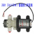 普兰迪直流自吸水泵12V24v电动抽水高压迷你小型增压泵微型隔膜泵 24V35W普通口回流泵