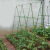 枭采植物支架园艺包塑料管黄瓜番茄爬藤支撑杆包塑支柱杆子植物支撑杆 11mm直径60长10根