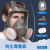 赛瑞佳防尘防毒面具全面罩喷漆打农药放毒氧气头罩化工气体防护全脸 4006防毒全面罩套装 其他