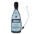 爱华 声级计专业噪声测量仪分贝仪基础工业噪音计  AWA5636型声级计配置1,2级,三种频率计权