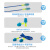 霍尼韦尔游泳耳塞防噪音睡眠工业级超级隔音降噪工厂带线硅胶降噪 硅胶带线【1副】可清洗