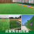 仿真草坪地毯幼儿园人造假草皮装饰阳台户外绿色围挡人工塑料绿植定做 新款LD不掉渣-1.5厘米特密军绿.