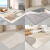 初构想（CHUGOUXIANG）地毯客厅2024新款沙发茶几垫子地垫轻奢家用可擦免洗卧室床边 BO-361 50x80cm