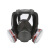 QJZZ防毒面具喷漆化工防异味粉尘打农药甲醛全脸防护面罩气体呼吸器 6200套装