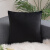 黑白撞色抱枕套意式设计感客厅沙发靠垫套斑马纹豹纹样板间靠枕套 黑色 枕套+枕芯