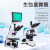 力辰科技生物显微镜大视场目镜带CTV专业光学高清jing子螨虫显微镜 LC-BMS-2000T+11.6寸显示屏 