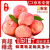 闽农语果山东红富士苹果烟台苹果花脆甜苹果水果 5斤  65-75mm 实惠普快