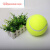 山头林村网球大尺寸24网球签名充气玩具宠物玩 网球大号9.5寸24 0筒