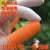 防滑手指套劳保工业乳胶手套耐磨橙色白色麻点一次性乳胶橡胶防护 橙色麻点指套L码10只(大码)