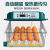 厨内助孵化器全自动智能孵化机小型家用孵蛋器鸭鹅鸽子鹌鹑芦丁鸡孵化箱 12枚单电【温度+翻蛋+照蛋+上水
