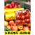 保鲜膜商用大卷级家用美容院专用水果西瓜超市打包膜保鲜膜套 5厘米宽*300米(捆扎膜)1卷 1