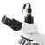 显微镜电子目镜300万500万像素摄像头含软件SCMOS相机目镜配件 白色 500万像素