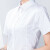 斐格欧文职业衬衫女夏款移动工作服酒店银行商务前台短袖白衬衫教师职业装套装男女同款 女款白色衬衫 XL