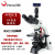 高清生物显微镜PH100-3B41L-IPL专业无限远物镜科研三目 标准配置+4K高画质摄影头(接电视电脑)