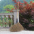竹扫把农村老式竹丝扫帚笤帚户外庭院环卫通用大扫把扫院子 芦花扫把长11米宽55厘米