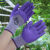 工用女士款小码手套 种花园艺搬货耐磨防割防滑透气乳胶薄款手套 3双 女士款防水防滑手套 均码