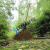 竹扫把农村老式竹丝扫帚笤帚户外庭院环卫通用大扫把扫院子 鬃毛扫帚长14米